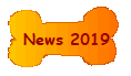 News 2019