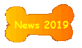News 2019