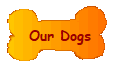 Our Dogs